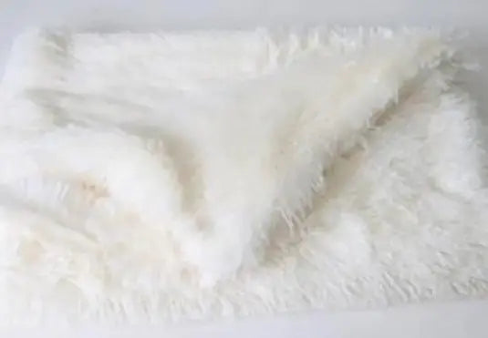 Cozy Ultra Soft Pet Blanket Washable and Lightweight