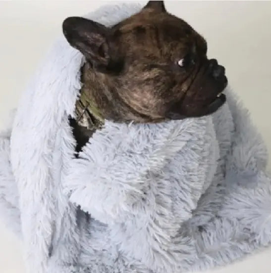 Cozy Ultra Soft Pet Blanket Washable and Lightweight